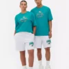 Camisas com o logótipo dos Miami Dolphins da NFL