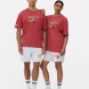 Camisas do Miami Heat da NBA