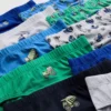 1,5-8 anos | Conjunto de 10 cuecas com desenho do Digger