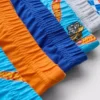 1,5-8 anos | Conjunto de 6 cuecas Hot Wheels