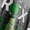 1-9 anos | Camisa do Rex do «Toy Story» da Disney·Pixar