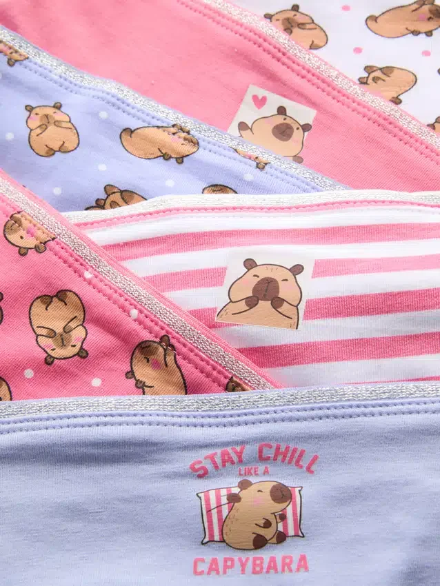 2-15 anos | Conjunto de 6 cuecas de cintura baixa com desenho de capivara