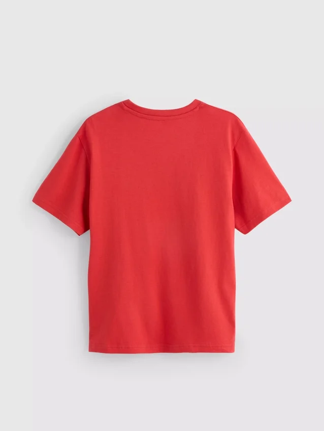 5-15 anos | T-shirt com motivo do Minecraft