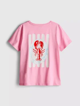 7-15 anos | t-shirt estampada