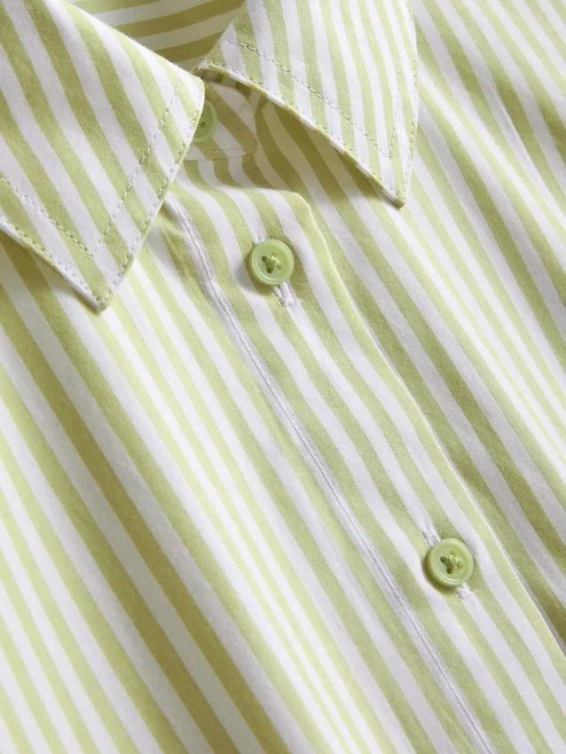 A camisa definitiva em popeline de algodão