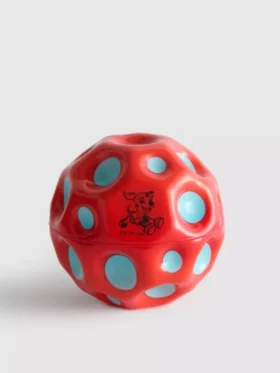Bola da Patrulha Canina