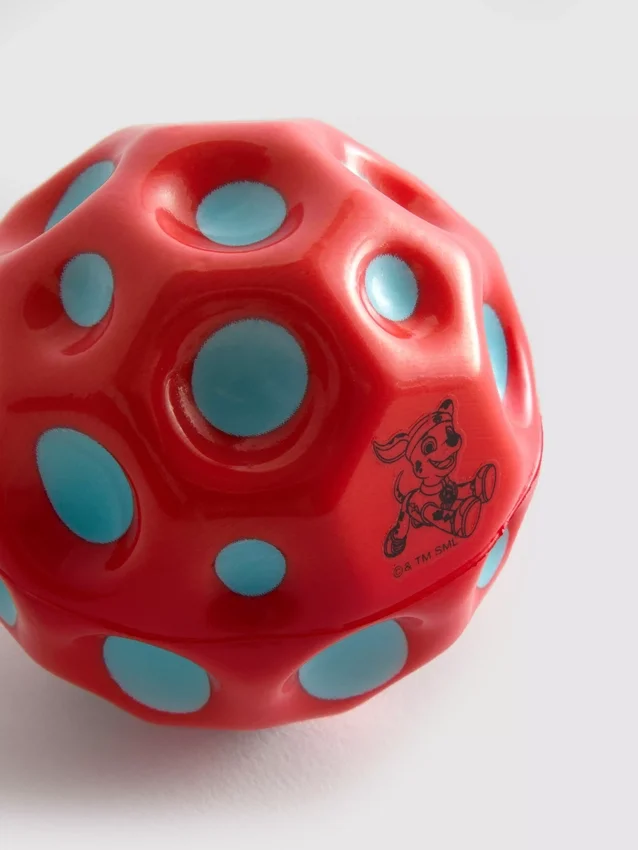 Bola da Patrulha Canina