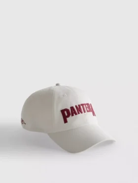 Boné de basebol Pantera