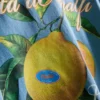 Camisas com estampado de limão de Amalfi