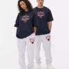 Camisas com estampado dos Chicago Bears da NFL