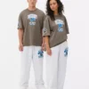 Camisas com logótipo dos Detroit Lions da NFL