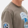 Camisas com logótipo dos Detroit Lions da NFL
