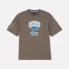Camisas com logótipo dos Detroit Lions da NFL