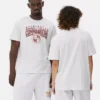 Camisas com logótipo dos Washington Commanders da NFL