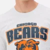 Camisas com o logótipo dos Chicago Bears da NFL