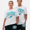 Camisas com o logótipo dos Miami Dolphins da NFL
