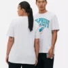 Camisas com o logótipo dos Miami Dolphins da NFL