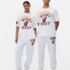 Camisas do Miami Heat da NBA