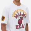 Camisas do Miami Heat da NBA