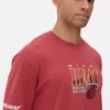 Camisas do Miami Heat da NBA