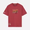 Camisas do Miami Heat da NBA