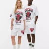 Camisas dos Chicago Bulls da NBA