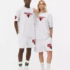 Camisas dos Chicago Bulls da NBA