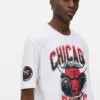 Camisas dos Chicago Bulls da NBA