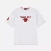 Camisas dos Chicago Bulls da NBA