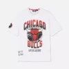 Camisas dos Chicago Bulls da NBA