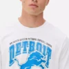 Camisas estampadas dos Detroit Lions da NFL