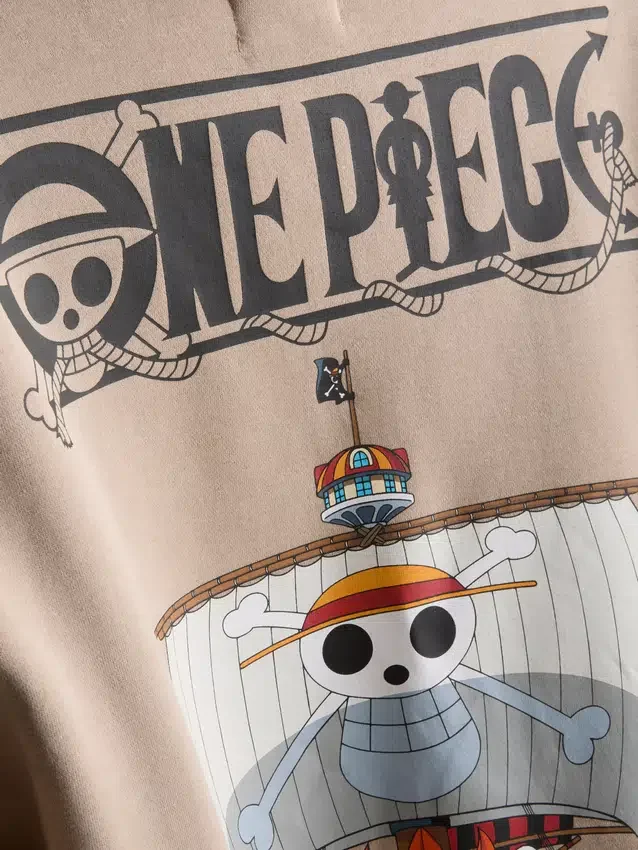 Camisola com capuz «One Piece Thousand Sunny»