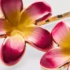 Conjunto de 2 ganchos florais