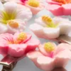 Conjunto de 6 ganchos de cabelo com motivos florais