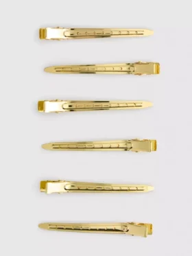 Conjunto de 6 ganchos de cabelo metálicos «PS Pro» para separar mechas