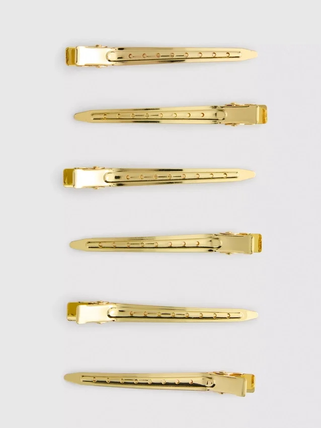 Conjunto de 6 ganchos de cabelo metálicos «PS Pro» para separar mechas