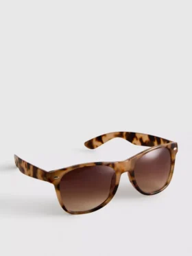 Óculos de sol clássicos estilo Wayfarer