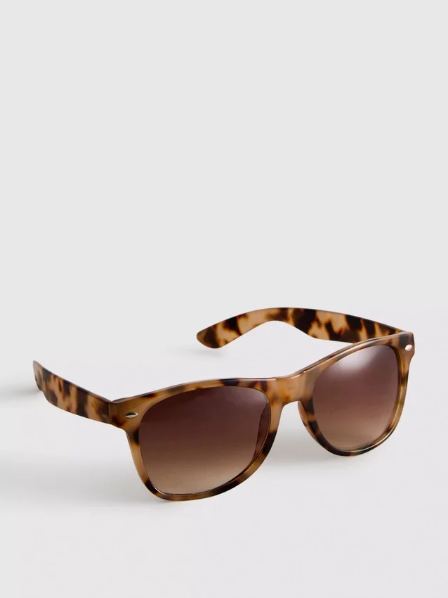 Óculos de sol clássicos estilo Wayfarer