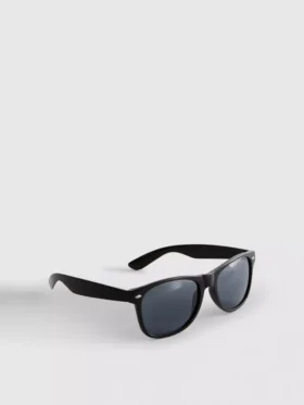 Óculos de sol clássicos estilo Wayfarer