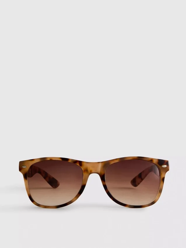 Óculos de sol clássicos estilo Wayfarer